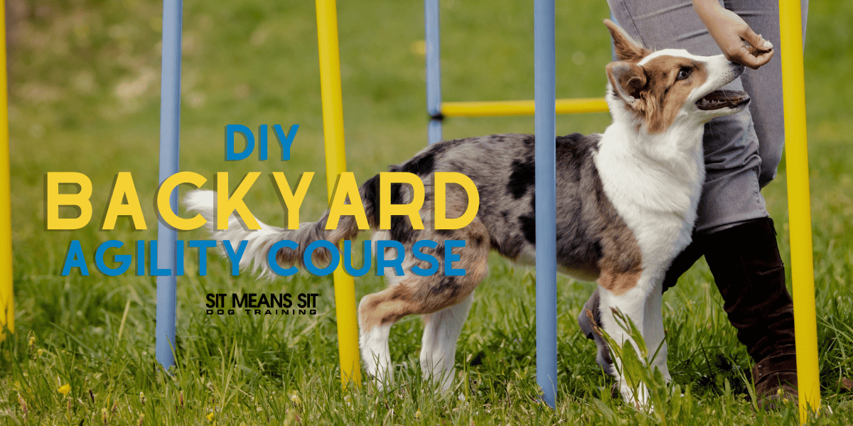 Creating a DIY Dog Agility Course in Your Backyard