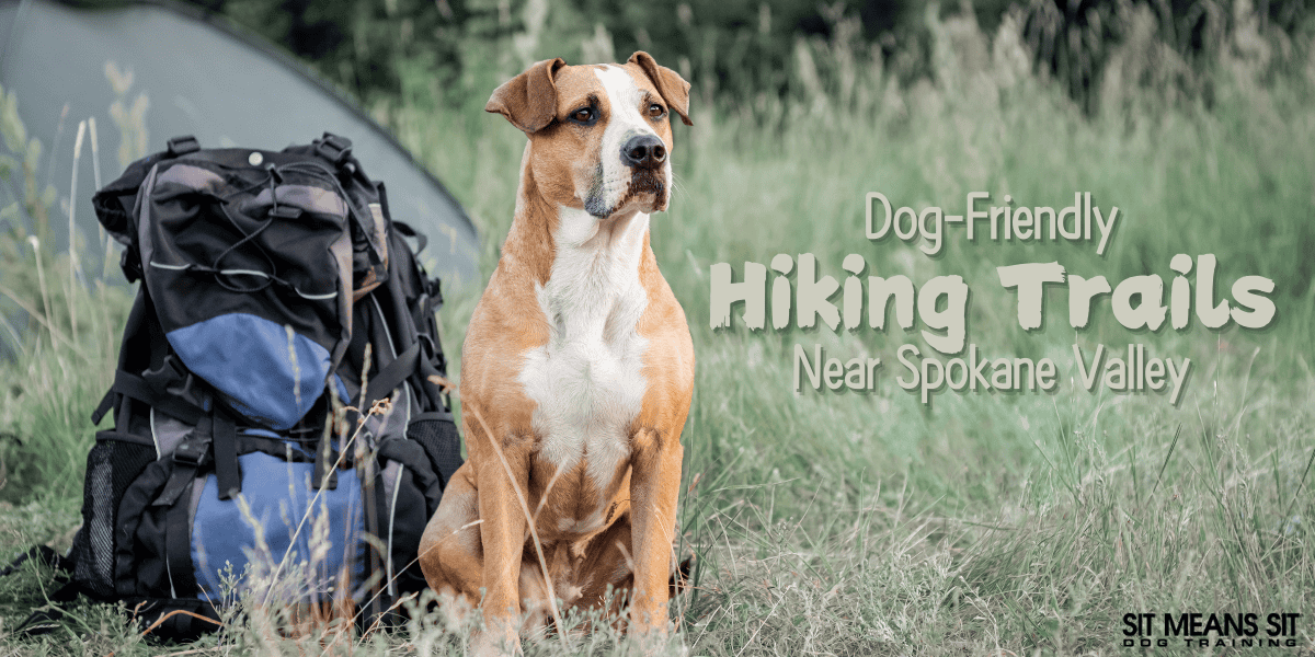 Dog-Friendly Hiking Trails Near Spokane Valley