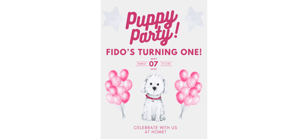 Throwing Your Dog a Birthday Party: A Full Guide