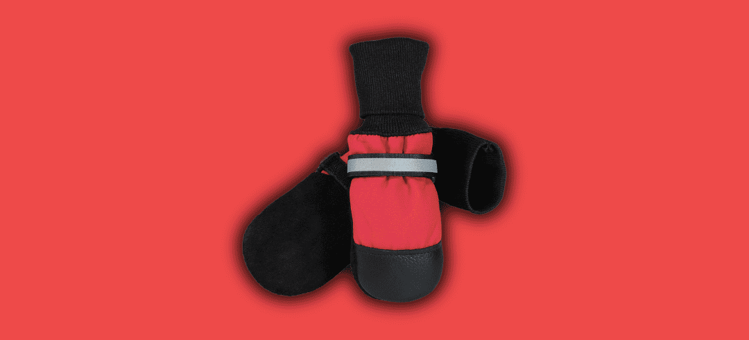 Protecting Paws: Do Dogs Need Snow Boots?