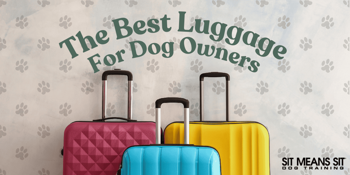 The Best Luggage for Dog Owners