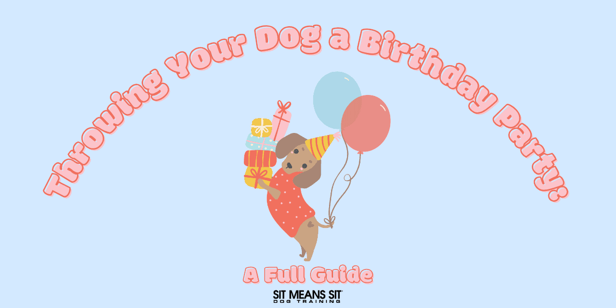 Throwing Your Dog a Birthday Party: A Full Guide